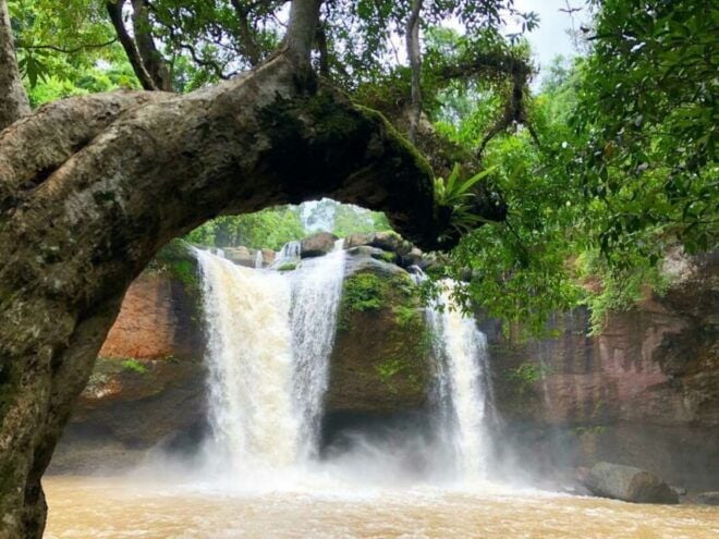 Khao Yai National Park Jungle Trekking Day Trip From Bangkok - Review Summary