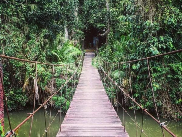 Khao Yai National Park Jungle Trekking Day Trip From Bangkok - Highlights of the Day Trip