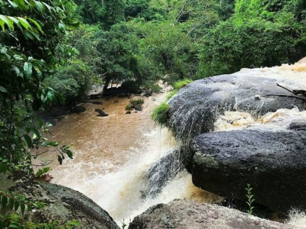 Khao Yai National Park Jungle Trekking Day Trip From Bangkok - Common Questions