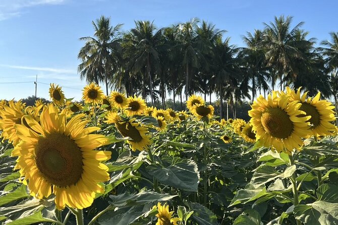 Khao Yai National Park Private Tour From Bangkok - Tour Highlights