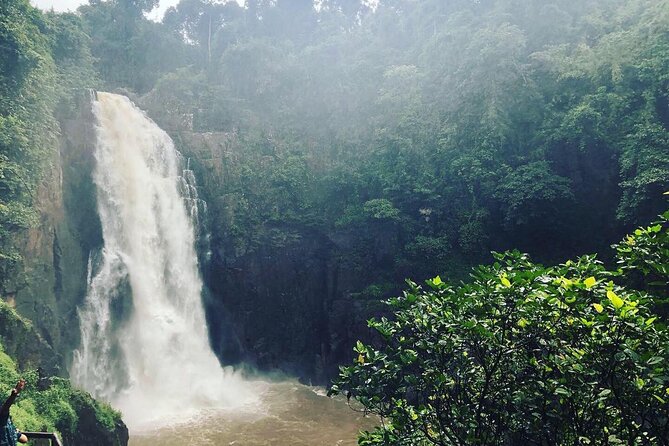 Khao Yai National Park Private Tour From Bangkok - Itinerary Overview