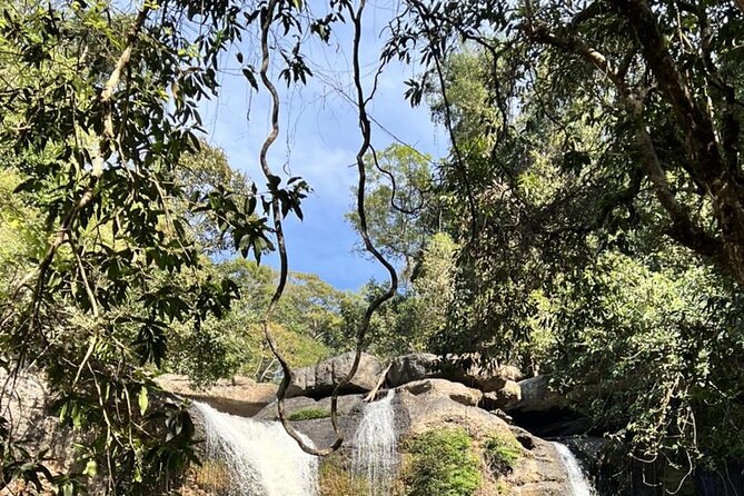 Khao Yai National Park Private Tour From Bangkok - The Sum Up