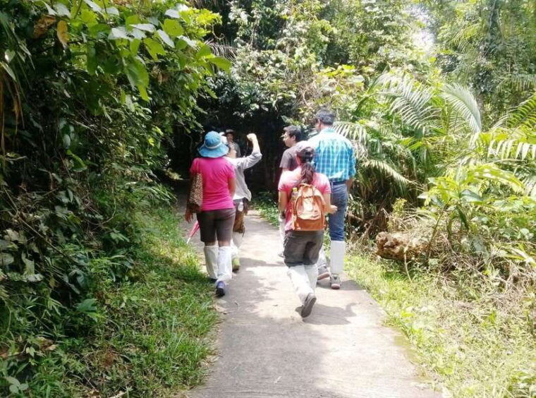 Khao Yai National Park: Waterfalls - Heaw Narok & Heaw Suwat - Important Information and Restrictions