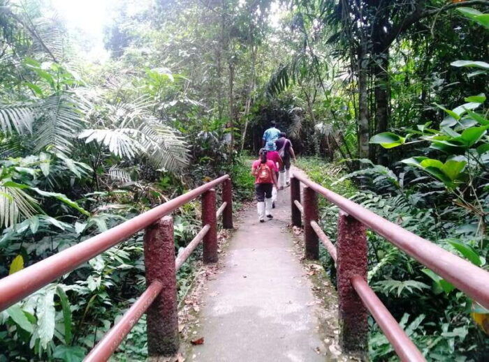 Khao Yai National Park: Waterfalls - Heaw Narok & Heaw Suwat - Experiencing the Nakhon Nayok Fresh Market