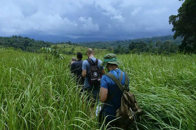 Khao Yai National Park With Waterfall & Hiking - Guided Hike to Haew Suwat Waterfall