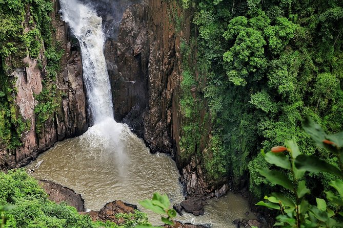Khao Yai National Park With Waterfall & Hiking - The Sum Up