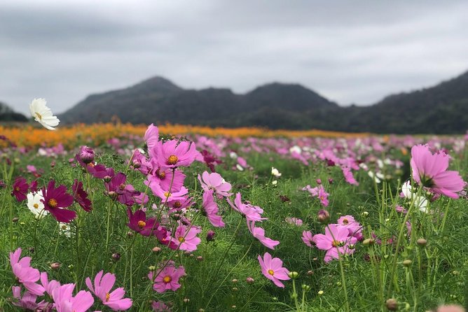 Khao Yai One Day Tour 4-5 Persons - Recommended Packing List