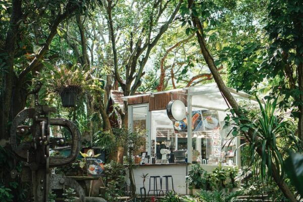Khao Yai: Private Custom Tour With Driver From Bangkok - Accessibility and Child Provisions