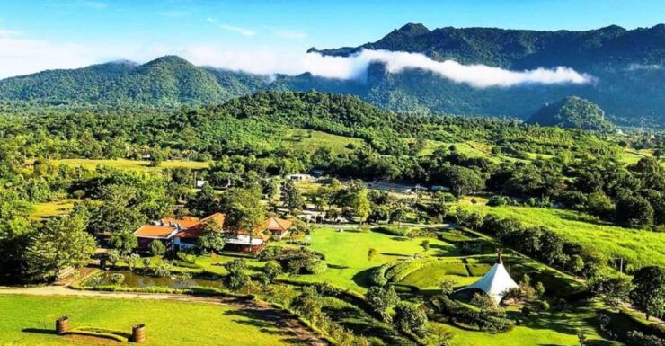 Khao Yai Vineyard Tasting Tour & Horse Farm Visit - Booking Details