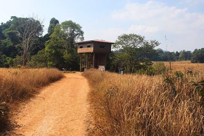 Khao Yai Waterfalls and Wilderness Private Chartered Tour - FAQs