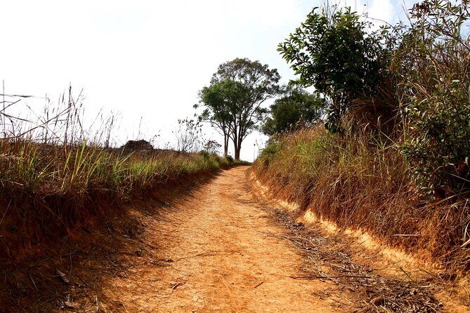 Khao Yai: Waterfalls, Deer Spotting & Jungle Walks Day Tour - Who Is This Tour Best For?