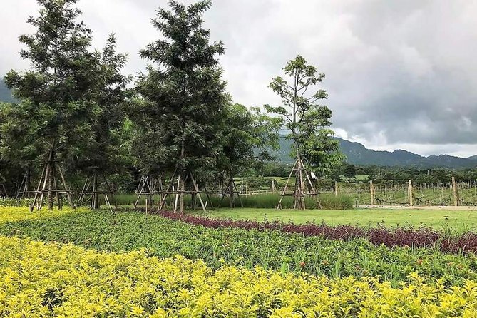 Khao Yai Winery - Vineyard Tours & Animal Lover With Horse Farm - Getting There and Directions