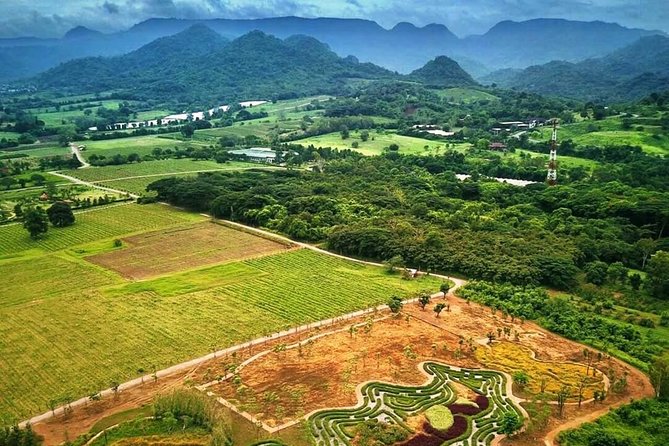 Khao Yai Winery - Vineyard Tours & Animal Lover With Horse Farm - The Sum Up