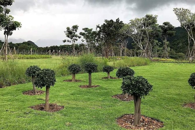 Khao Yai Winery - Vineyard Tours & Animal Lover With Horse Farm - Activity Details