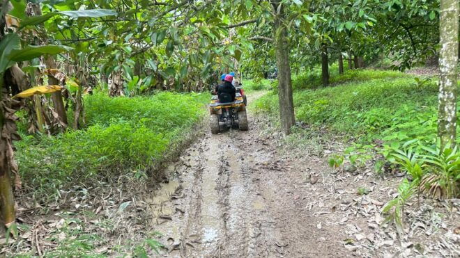Khaolak ATV Quadbike & Waterfall Adventure Experience - Customer Reviews