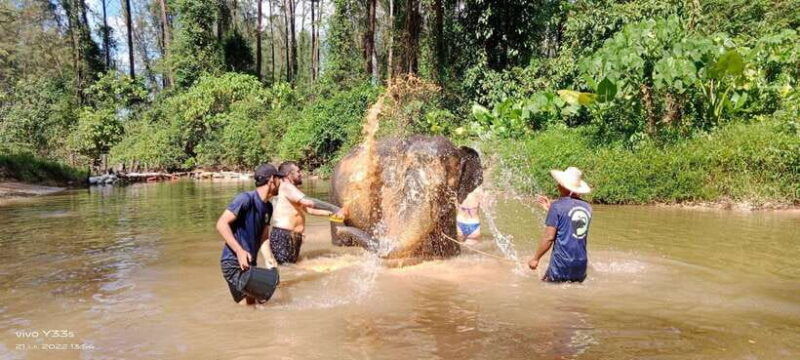 Khaolak: Elephant Interaction in Sanctuary With Bamboo Raft - Good To Know