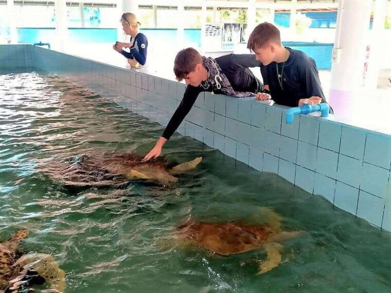 Khaolak: Elephant Interaction in Sanctuary With Bamboo Raft - Sea Turtle Conservation Center