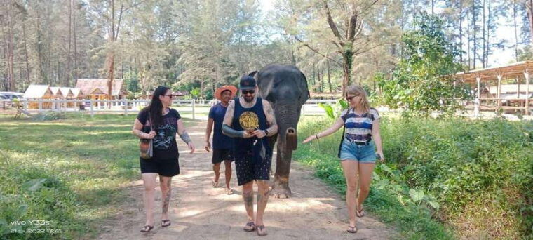 Khaolak: Elephant Interaction in Sanctuary With Bamboo Raft - Bamboo Rafting Experience