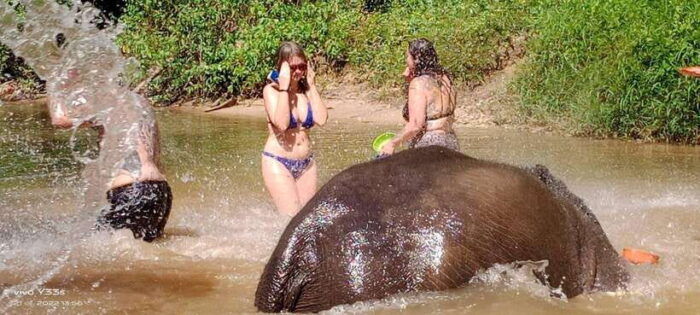 Khaolak: Elephant Interaction in Sanctuary With Bamboo Raft - Police Boat T813 Tsunami Memorial