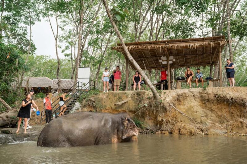 Khaolak: Elephant Sanctuary Guided Tour with Hotel Transfers - Good To Know