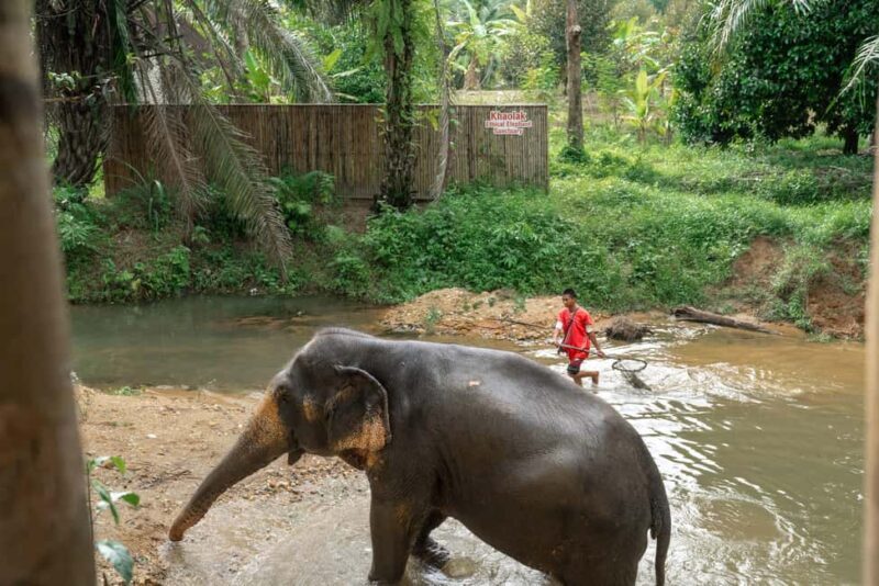 Khaolak: Elephant Sanctuary Guided Tour with Hotel Transfers - FAQ
