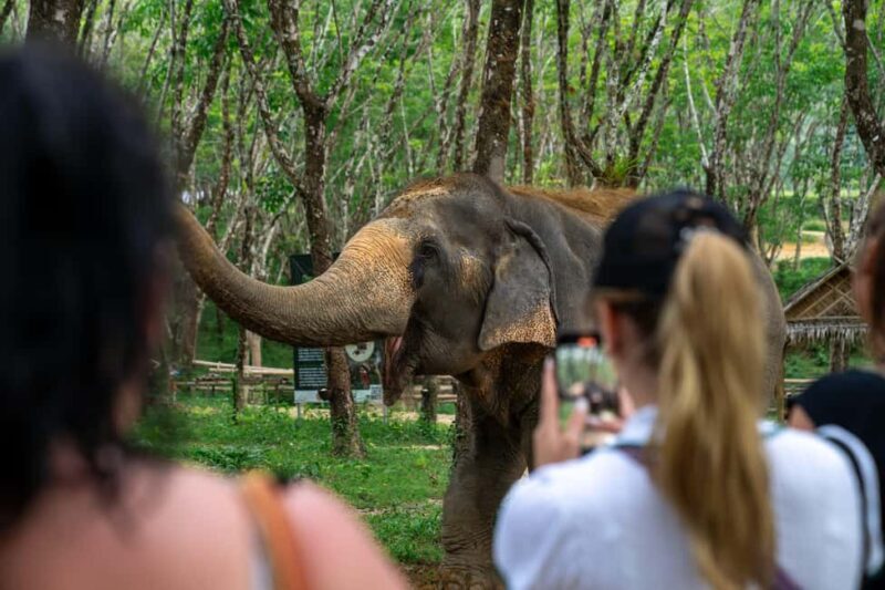 Khaolak: Elephant Sanctuary Guided Tour with Hotel Transfers - Final Thoughts