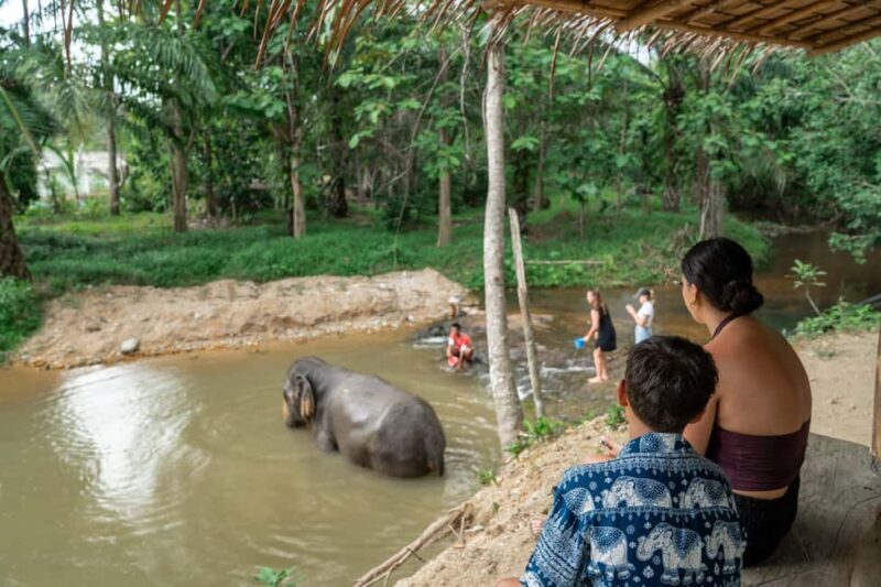 Khaolak: Elephant Sanctuary Guided Tour with Hotel Transfers - In-Depth Look at the Itinerary