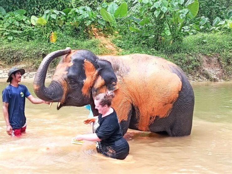 Khaolak: Elephant Sanctuary With Turtle Conservation Center - Good To Know