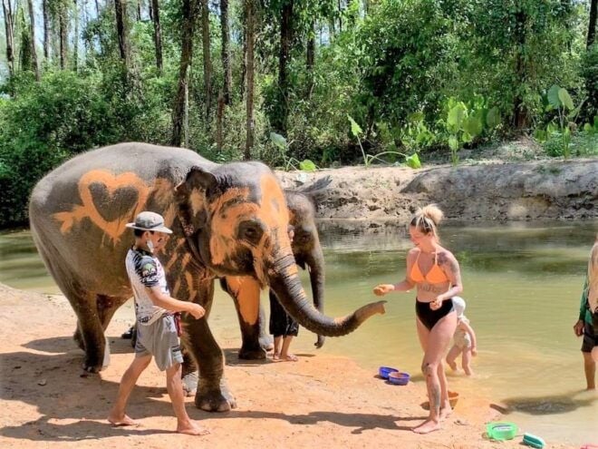 Khaolak: Elephant Sanctuary With Turtle Conservation Center - Customer Reviews