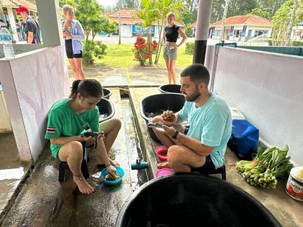 Khaolak: Elephant Sanctuary With Turtle Conservation Center - Elephant Sanctuary Experience
