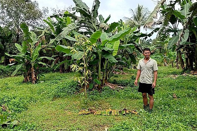 Khaolak Ethical Elephant Sanctuary Overnight Program - The Sum Up