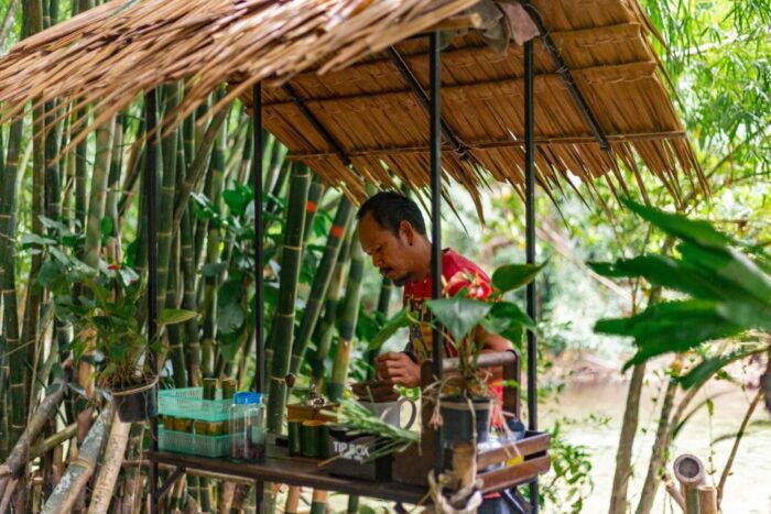 Khaolak Ethical Elephant Sanctuary Snack Making & Feeding - Important Considerations for Responsible Participation