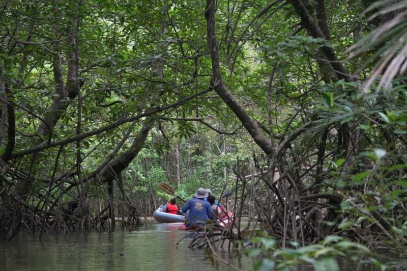 Khaolak: Little Amazon and Wat Khongkha Phimuk (Half Day) - Discovering the Mystical Mangroves of Little Amazon