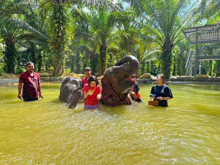 KhaoLak :White Water Rafting ,Monkey Cave, Elephant Bathing - Wat Tham Suwan Khuha (Monkey Cave)