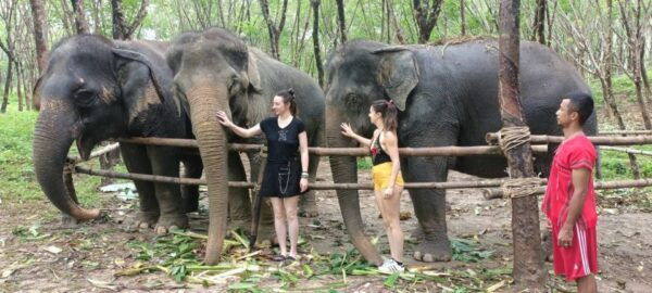 Khaolak Wild ATV Quad Bike & Gentle Giants Experience - Common Questions