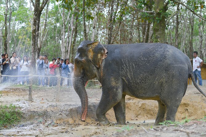 Khaolak Wild Ride and Gentle Giants Experience - Itinerary
