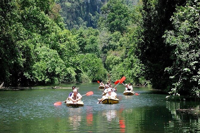 Khaosok Jungle Exploration From Khaolak - The Importance of Having a Guide in Khao Sok