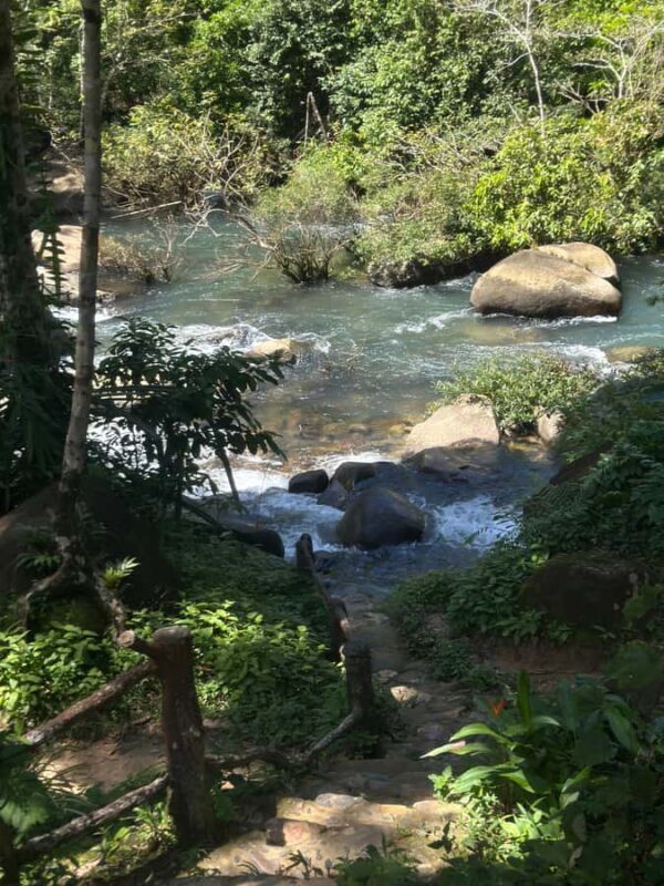 Khaosok: Jungle Walk & Bamboo Rafting with Local Market - Practical Details and What You Should Know