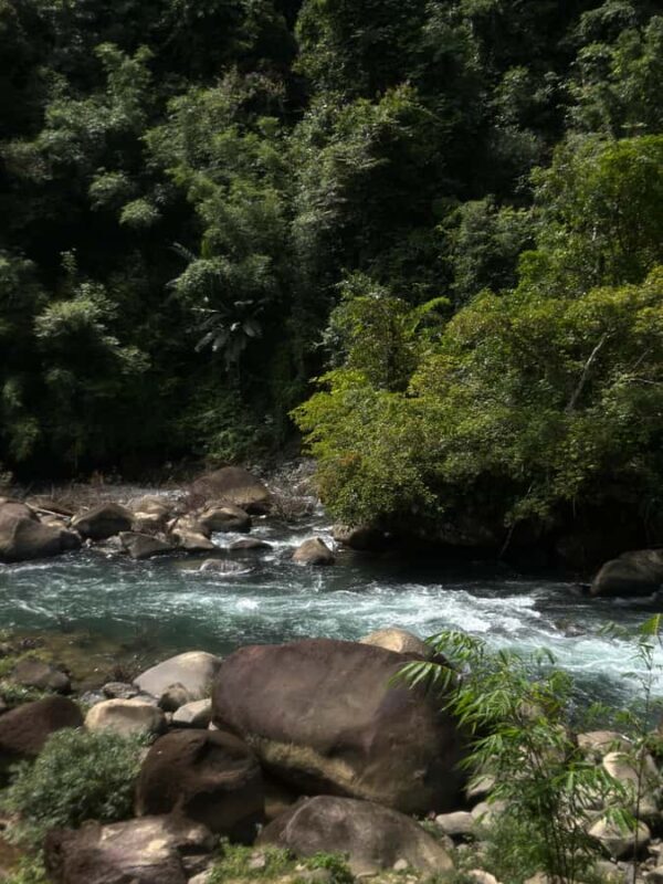 Khaosok: Jungle Walk & Bamboo Rafting with Local Market - Who Is This Tour Best For?