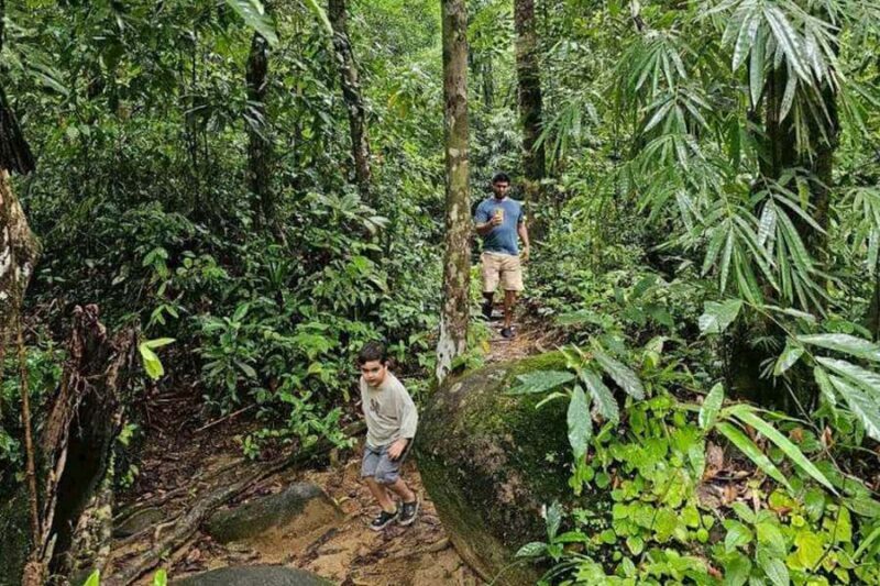 Khaosok: Jungle Walk & Bamboo Rafting with Local Market - How the Day Fits Together