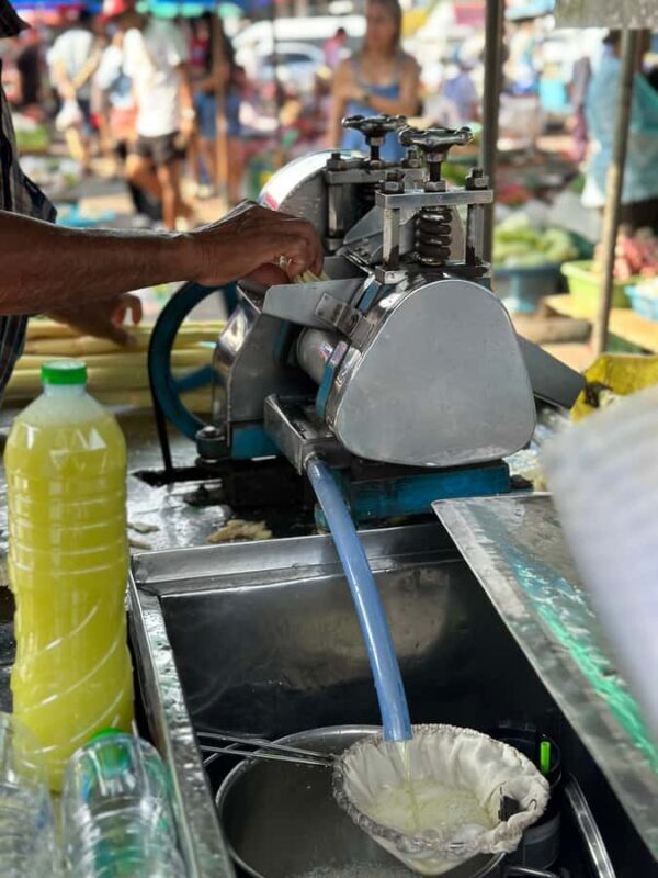 Khaosok: Jungle Walk & Bamboo Rafting with Local Market - The Sum Up