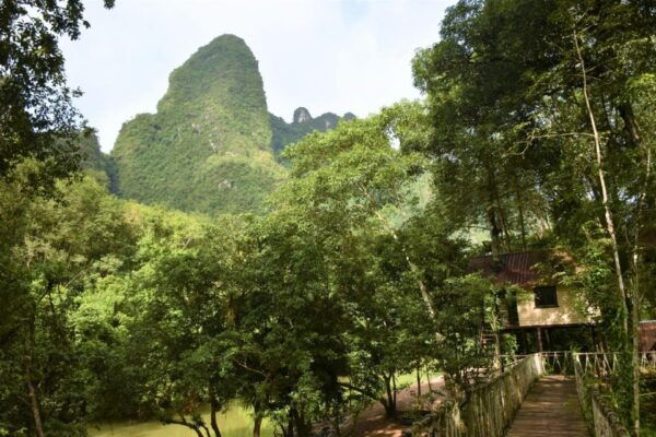 Khaosok National Park: Overnight Package 4 Days 3 Nights - The Sum Up