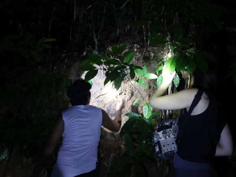 Khaosok Night Safari Experience (From Khaolak) - The Sum Up