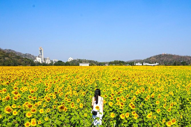 Khaoyai Day Trip From Bangkok - Overview of Khaoyai Day Trip