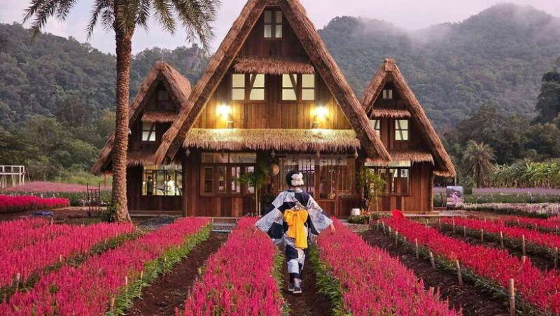 KHAOYAI : Wine Tasting Tour & Primo Piazza & Hokkaido Flower - Itinerary Details