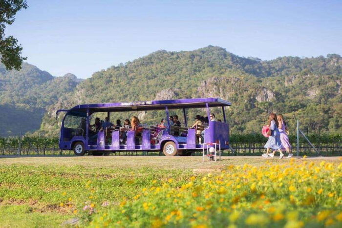 KHAOYAI : Wine Tasting Tour & Primo Piazza & Hokkaido Flower - Primo Piazza