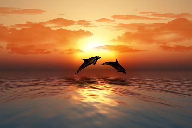 Khasab, Musandam: Dolphins, Snorkeling & Fjords 6-Hr Dhow Cruise - Inclusions and Additional Services