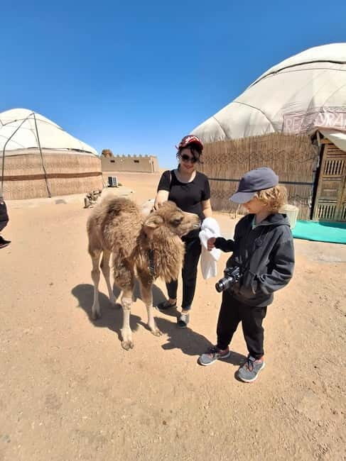 Khiva: Guided City Walking Tour with Local Guide - Why Choose the Khiva Guided Walking Tour?