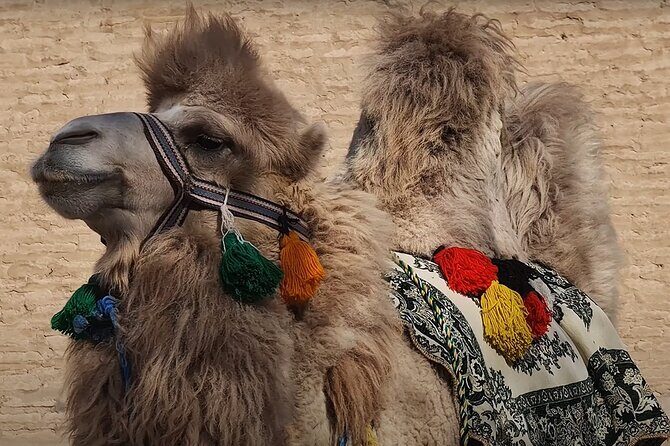 Khiva: Private Guided Tour Through the Ancient Ichan Kala - FAQ