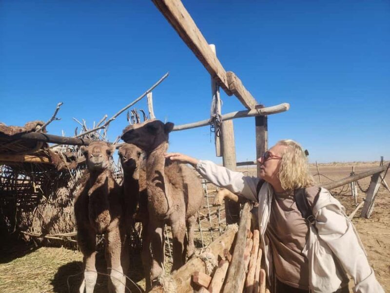 Khiva: Silk Road Tour - Introduction